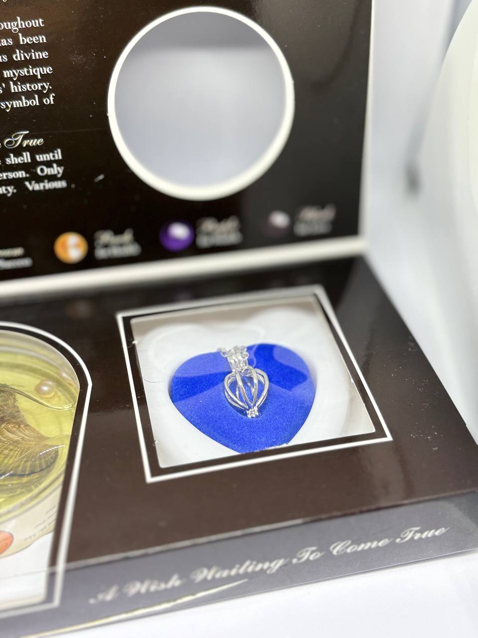 Hediyelik İstiridye İncili Kolye