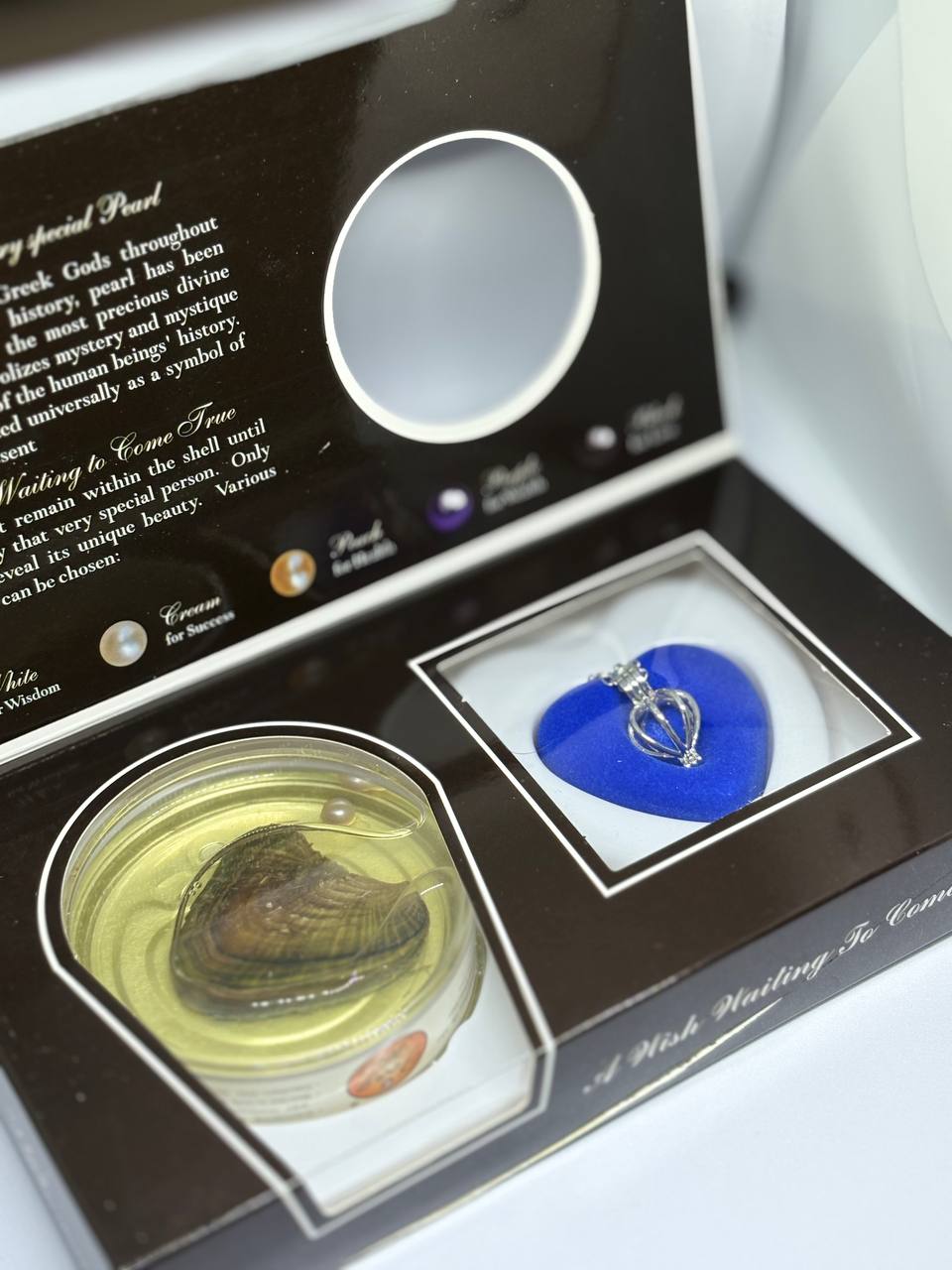 Hediyelik İstiridye İncili Kolye