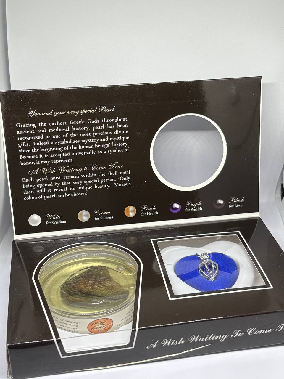 Hediyelik İstiridye İncili Kolye